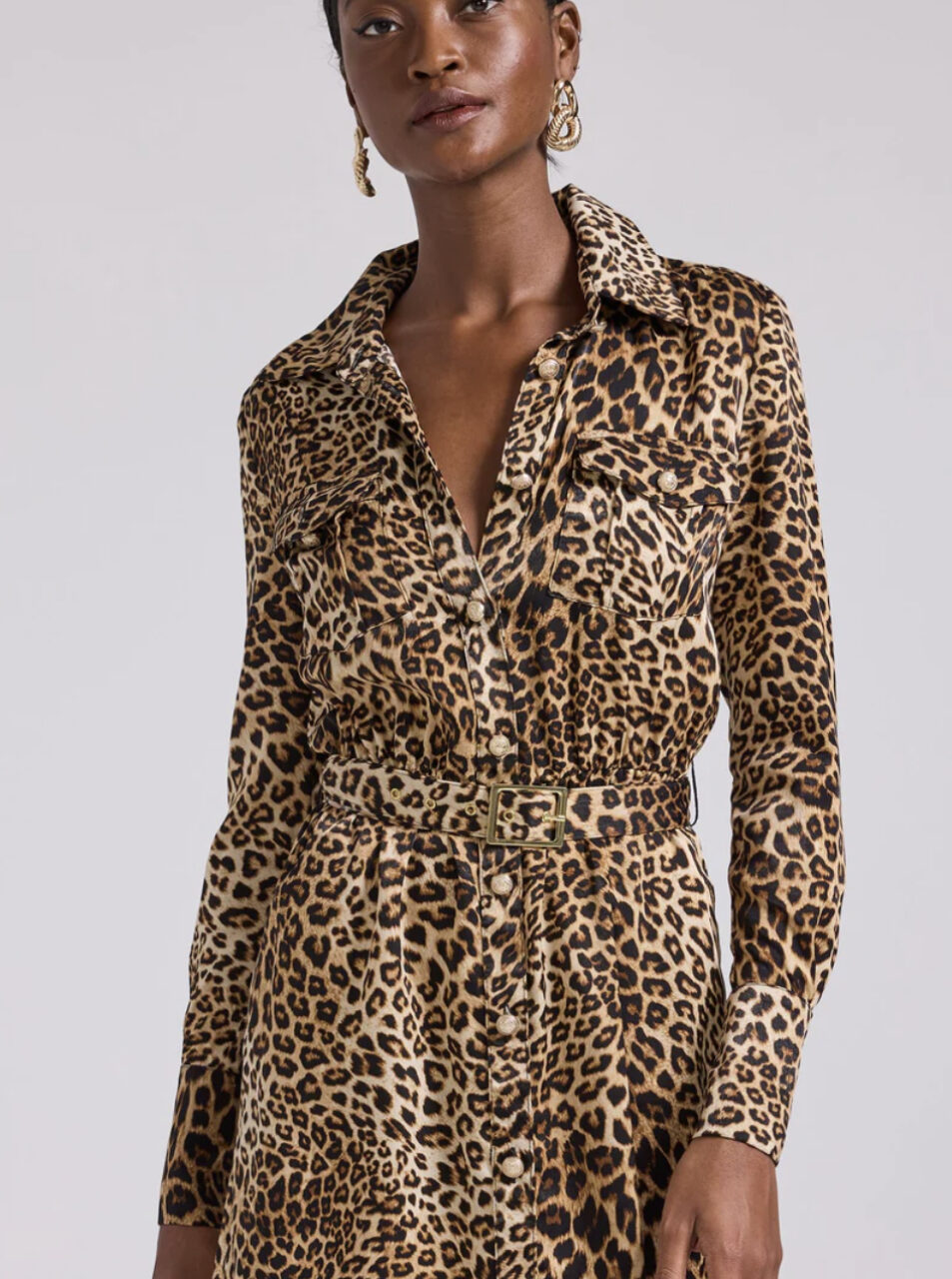 DARCELLE LEOPARD SHIRT DRESS